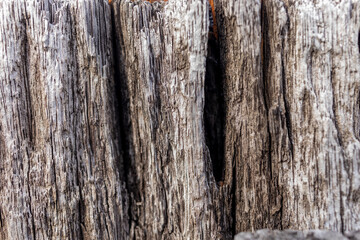 Obraz premium まくら木 壁紙 木目 Sleeper wood wallpaper wood grain