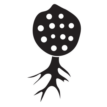 Chytridiomycota glyph icon