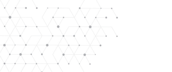 Vector abstract background the dots and lines geometric graphic hexagons pattern with simple hexagonal elements.