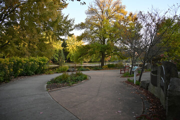 Obraz premium bench in the park against the backdrop of autumn