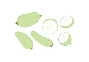 Whole and half raw fresh winter gourd vegetables