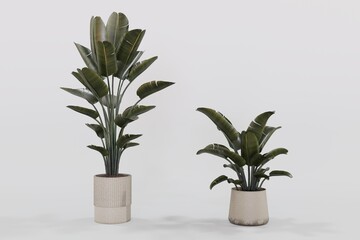Plant pots in various natural shapes on a white background 3d