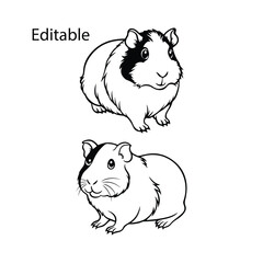  guinea pig set, guinea pig, guinea pig vector, cute guinea pig, guinea pig drawing, cartoon guinea pig, simple guinea pig vector illustration