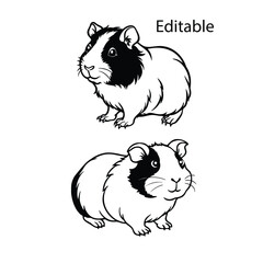  guinea pig set, guinea pig, guinea pig vector, cute guinea pig, guinea pig drawing, cartoon guinea pig, simple guinea pig vector illustration