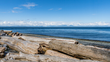 shore of Malcolm Island with old tree logs beautiful water of the ocean with clouds on blue sky
