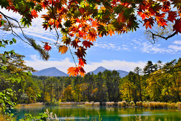 裏磐梯　五色沼湖沼群のるり沼と紅葉　福島県