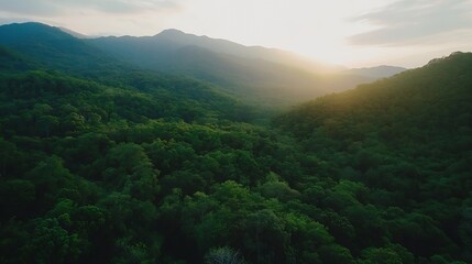 Obraz premium Aerial View of Lush Forest with Mountainous Horizon and Golden Sunset Glow : Generative AI