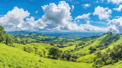 Naklejka premium Serene Beauty of Lush Green Hills and Meadows Against Azure Sky with Fluffy Clouds