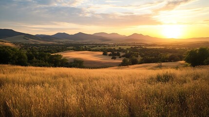 Fototapeta premium Idyllic Golden Field Landscape with Sunset and Distant Mountains : Generative AI
