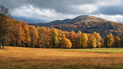 Fototapeta premium Rolling Hills with Autumn Forest Scenery Under Cloudy Sky in Countryside : Generative AI