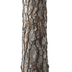 close up view of textured tree trunk showcasing intricate bark patterns and colors, highlighting natural beauty of wood