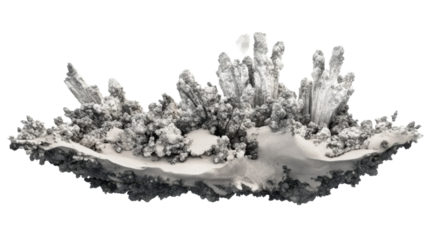 Dendritic silver crystals growing on matrix, transparent background