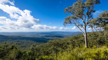 Fototapeta premium Scenic panoramic view of lush green forest valley under clear blue sky with sunlight : Generative AI