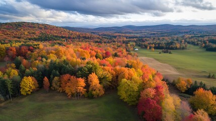 Aerial View of Vibrant Autumn Forest and Rolling Hills Under Dramatic Cloudy Sky : Generative AI