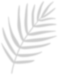 shadow leaf decoration 