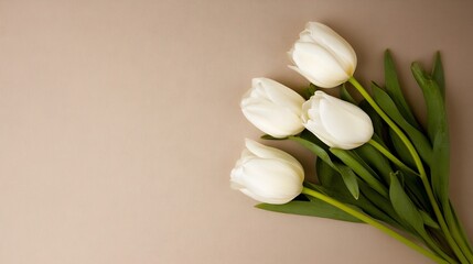 Minimalistic Arrangement of Elegant White Tulips on Plain Beige Background : Generative AI