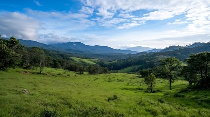 Obraz premium Expansive Grassland Landscape with Distant Mountains and Blue Sky : Generative AI