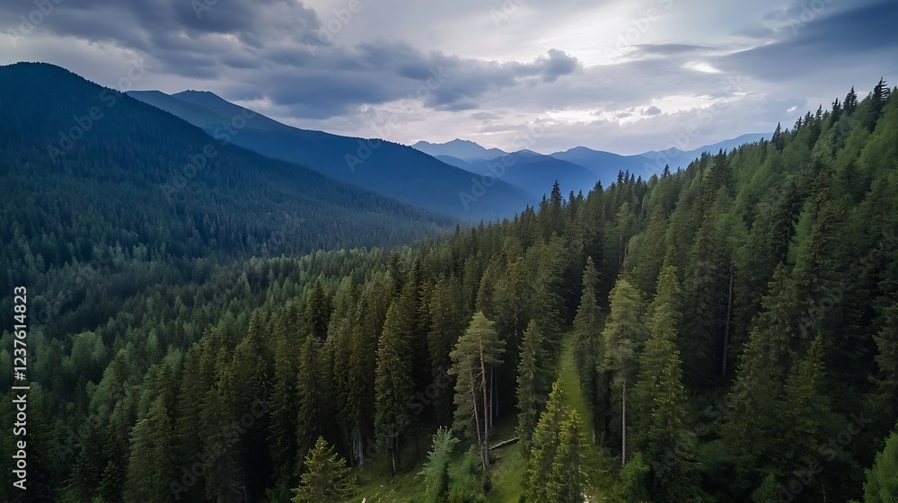 Poster breathtaking aerial view of dense forest and rolling mountains under moody cloudy sky : generative a