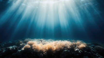 Fototapeta premium Underwater sunbeams illuminate coral reef. Ocean background. Environmental awareness