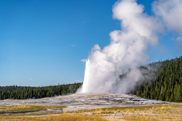 Old Faithful Geyser, Yellowstone National Park.