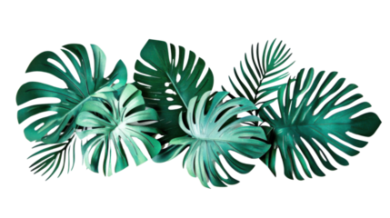 Tropical monstera and palm leaves creating a lush green border on transparent background