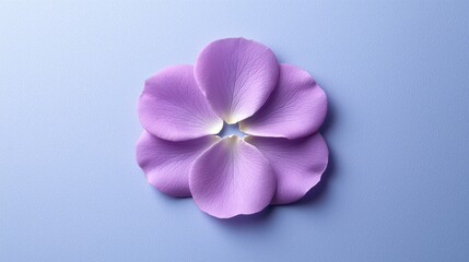 Obraz premium A delicate purple petal lies gracefully against a soft blue background, showcasing nature's beauty and elegance.