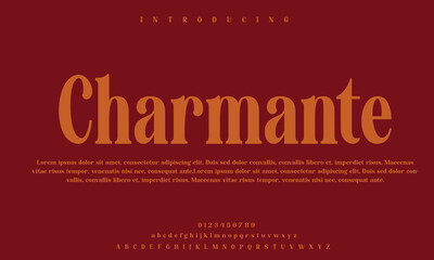 High-Quality Custom Fonts | Stylish, Modern & Classic Typefaces for Designers