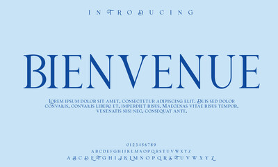 Fototapeta premium High-Quality Custom Fonts | Stylish, Modern & Classic Typefaces for Designers