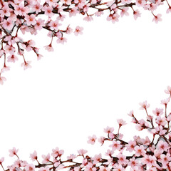 Fototapeta premium cherry blossom isolated on white