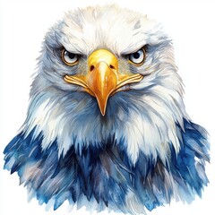 Obraz premium Majestic bald eagle portrait nature scene wildlife art close-up view symbol of freedom
