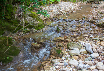 the sources of the river-morning walks along the riverbed with a view of the structure of the banks on a spring morning