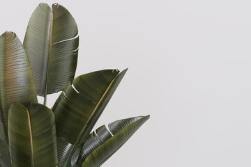 Plant pots in various natural shapes on a white background 3d