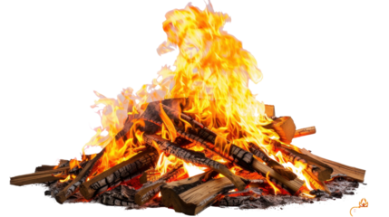 Bonfire burning with brightly burning wood on transparent background