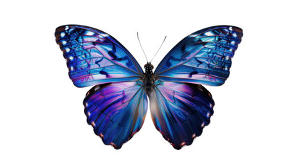Morpho butterfly showing iridescent blue wings on transparent background