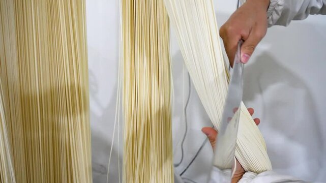 A worker in a Chongqing noodle factory skillfully cuts fresh, handmade noodles, the precision and craftsmanship of traditional noodle-making. Captures the delicate strands in motion. China.