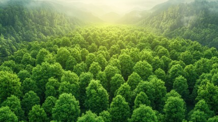 Tranquil forest landscape, majestic mountains and lush green trees in harmony with nature