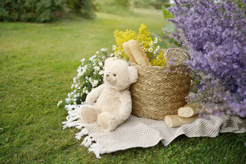 summer picnic background