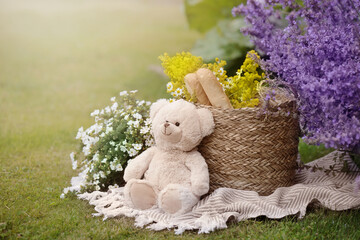 Picnic background with teddy bear