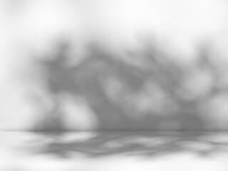 White wall background and tree leaves soft shadows. Natural pattern, gray shadow. Copy space