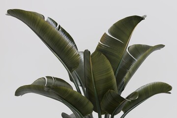 Plant pots in various natural shapes on a white background 3d	
