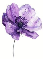 Naklejka premium Watercolor Blue Stock Isolated on White Background. Beautiful Stock Flower