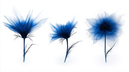 Three high-quality, surreal, exotic blue flowers macro-isolated on white. Items for Mother's Day, Mother's Day, weddings, and anniversaries
