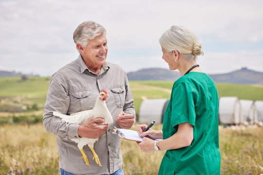 Nature, clipboard and veterinary with chicken on farm for health checkup, medical checlist or inspection. Outdoor, animal and man with bird for vitality consultation with doctor on sustainable ranch.