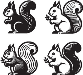 Squirrel vector in black and white