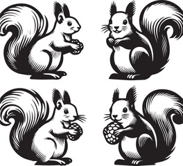Squirrel vector in black and white