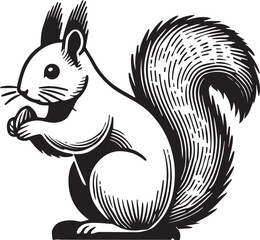 Squirrel vector in black and white