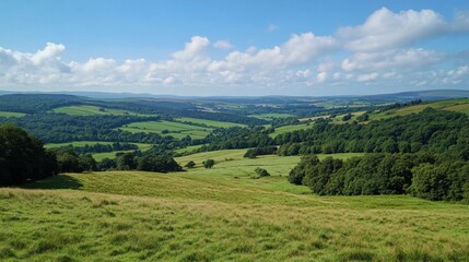 Fototapeta premium Hilltop summer vista rolling green fields, distant mountains, blue sky, pastoral landscape