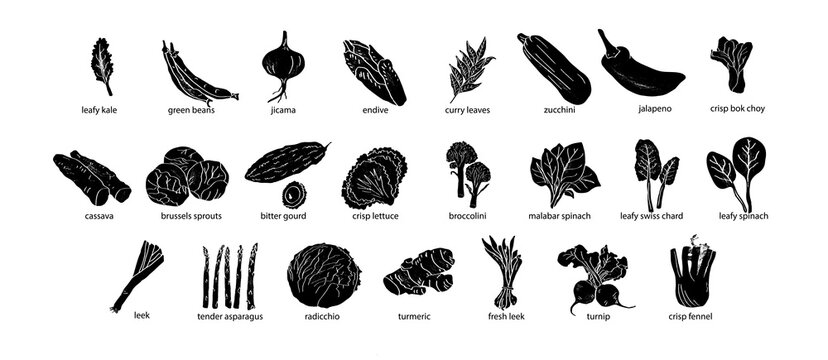 Vegetables in a abstract draw design. Label or poster, price tag. Illustrations in black and white. 
