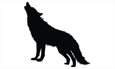 wolf isolated on white background