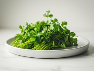 Fresh and Vibrant Cilantro Leaves on White Plate Against Soft Background